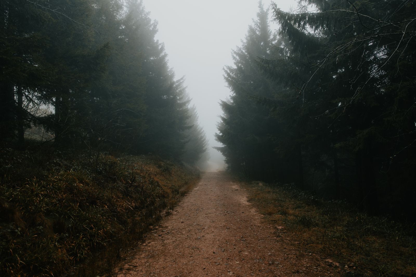 A foggy degrading maze of corridors